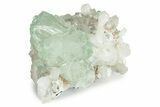 Gemmy Apophyllite Crystals with Stilbite - India #243888-1